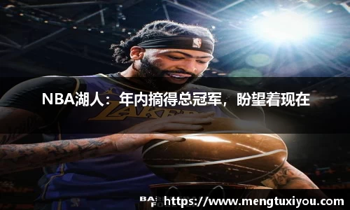 NBA湖人：年内摘得总冠军，盼望着现在